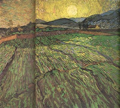 Vincent Van Gogh Enclosed Field with Risihng Sun (nn04) Sweden oil painting art